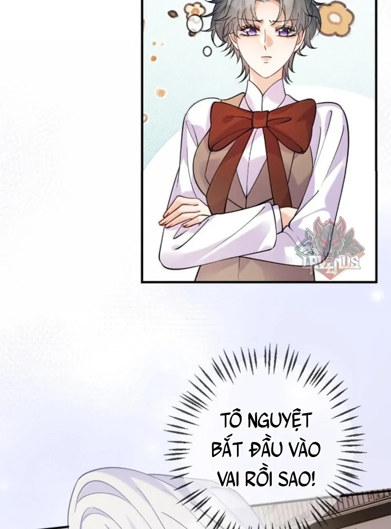 Bạch Nguyệt Quang Cô Ấy Luôn Muốn Đánh Dấu Tôi Chapter 31 - 42