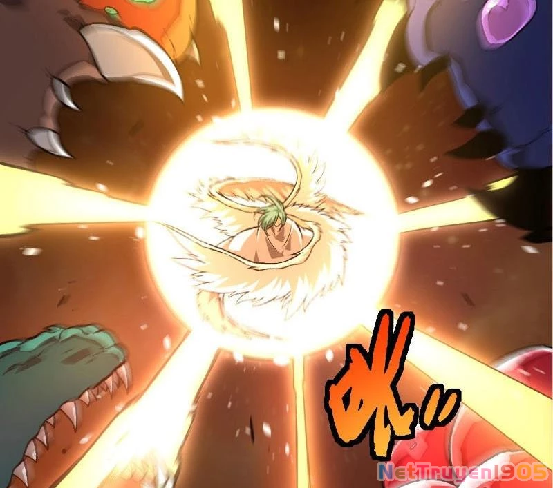 Chuyển Sinh Thành Liễu Đột Biến Chapter 428 - 70