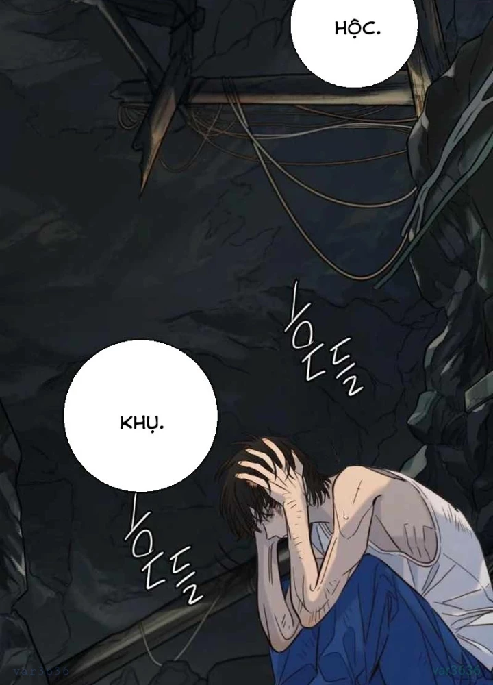 Mọi Người Đều Yêu Cô Ấy Chapter 31 - 67