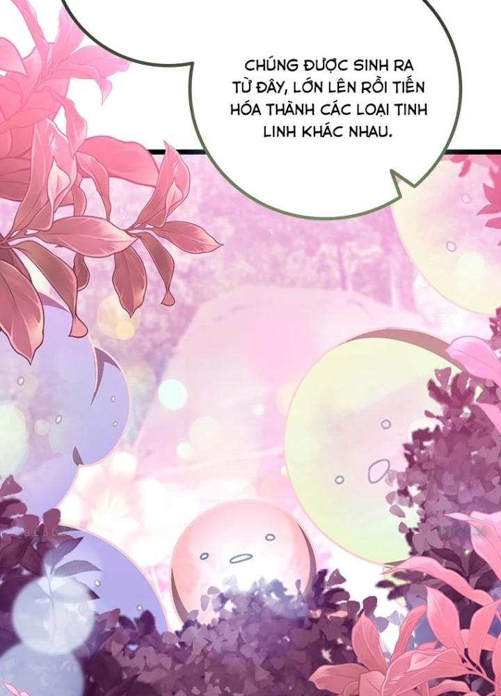 Thực Long Ma Pháp Sư Chapter 112 - 195