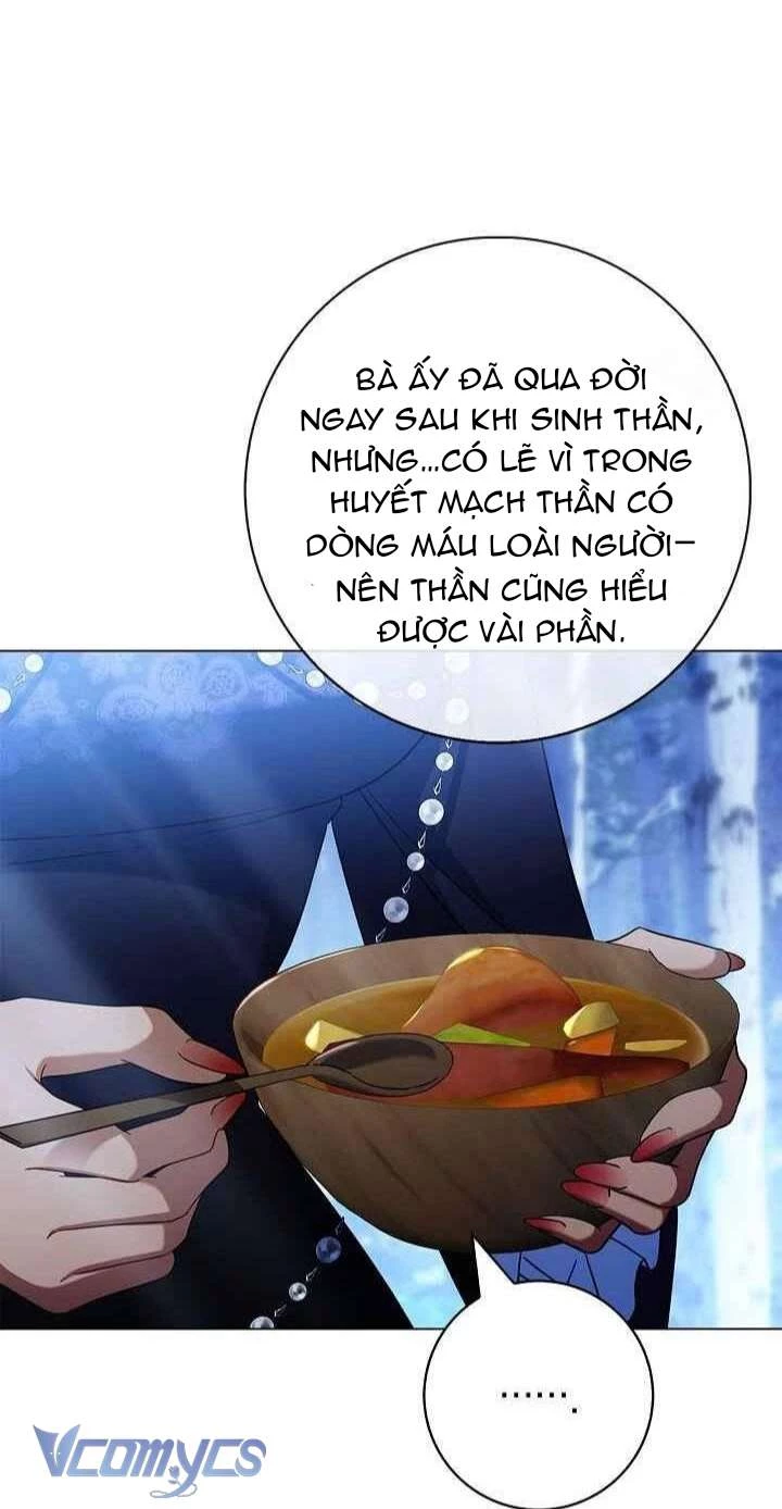 Xin Lỗi Vì Tôi Không Thể Rời Mắt Khỏi Vẻ Ngoài Của Ngài Chapter  40 - 39