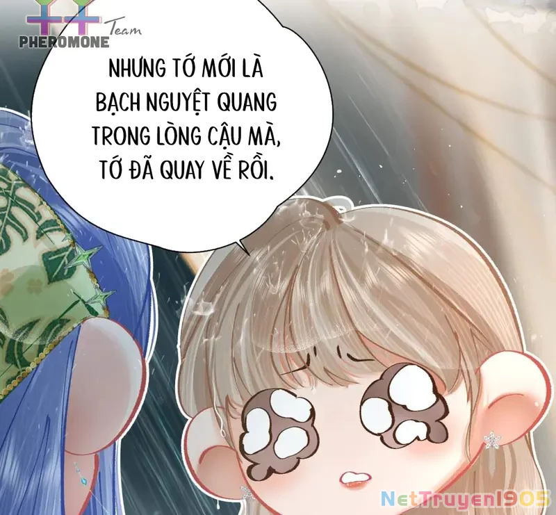 Sau Khi Xuyên Không Thành Thiên Kim Giả, Ta Lấy Lòng Thiên Kim Thật Sống Qua Ngày Chapter 12 - 95