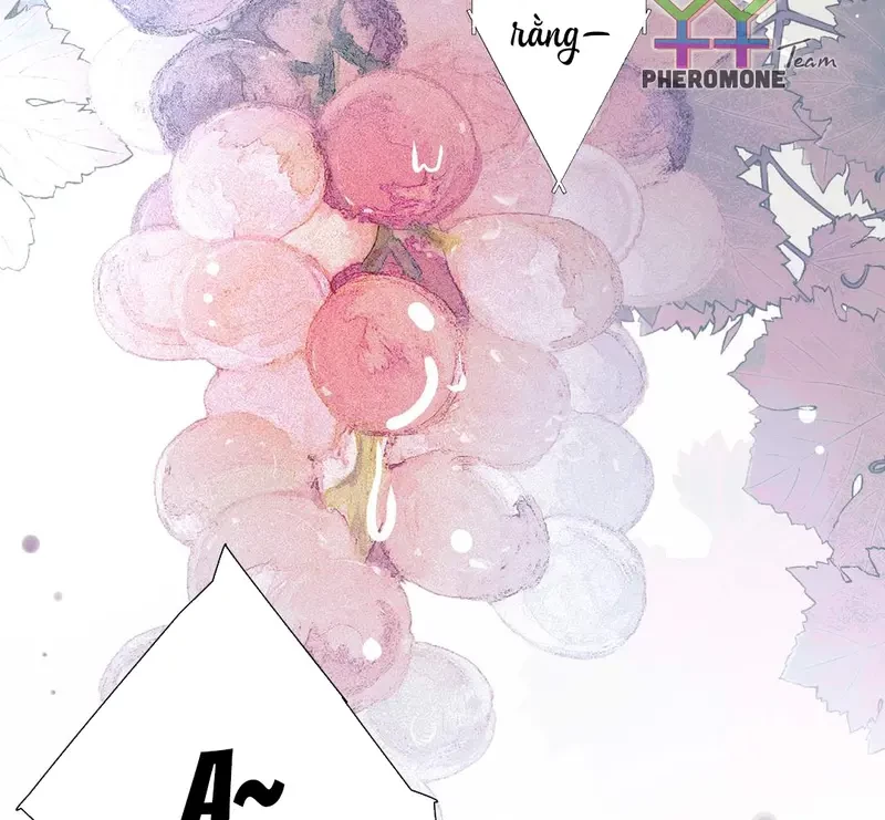 Ban Cho Tôi Nụ Hôn Của Em Chapter 1 - 25