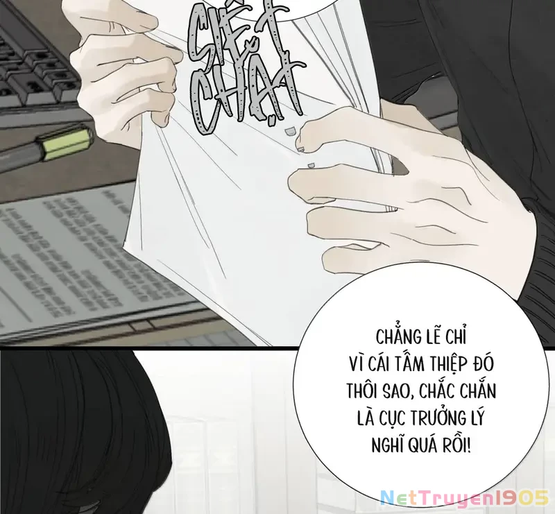 Tả Anh Tiểu Thư Chapter 29 - 24