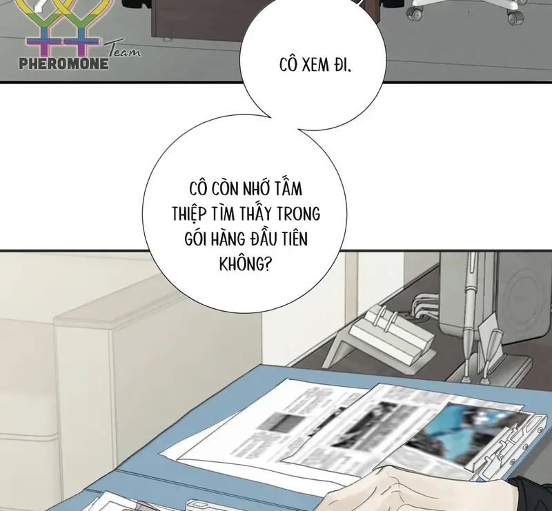Tả Anh Tiểu Thư Chapter 29 - 41
