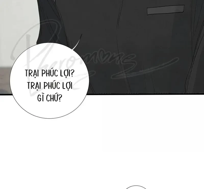 Tả Anh Tiểu Thư Chapter 29 - 46
