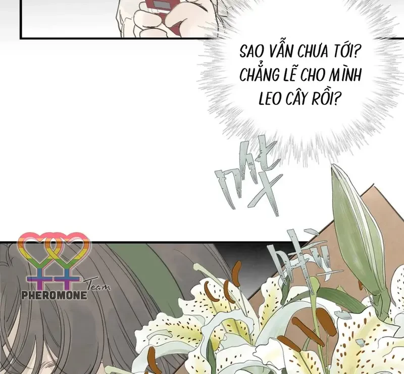 Tả Anh Tiểu Thư Chapter 29 - 78