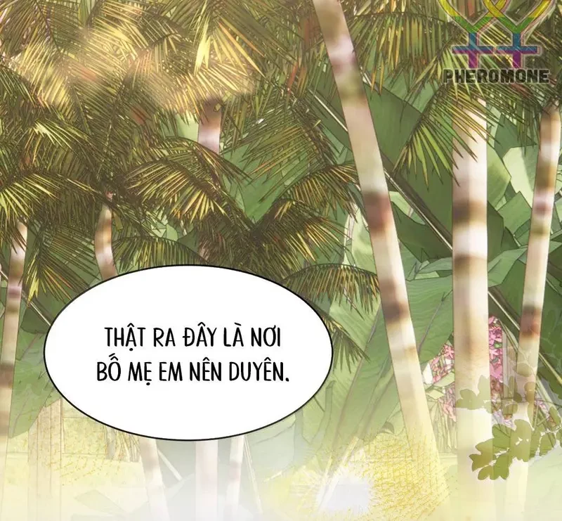 Sổ Tay Tâm Ý Chapter 37 - 52