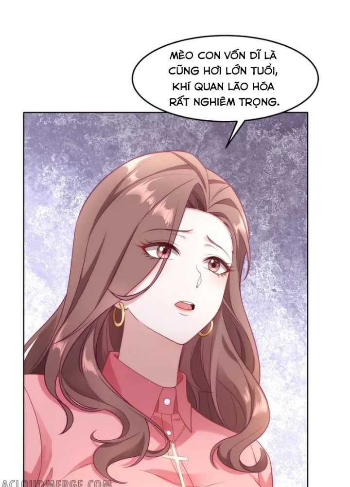 Cửa hàng sủng vật thần kỳ Chapter 9 - 35
