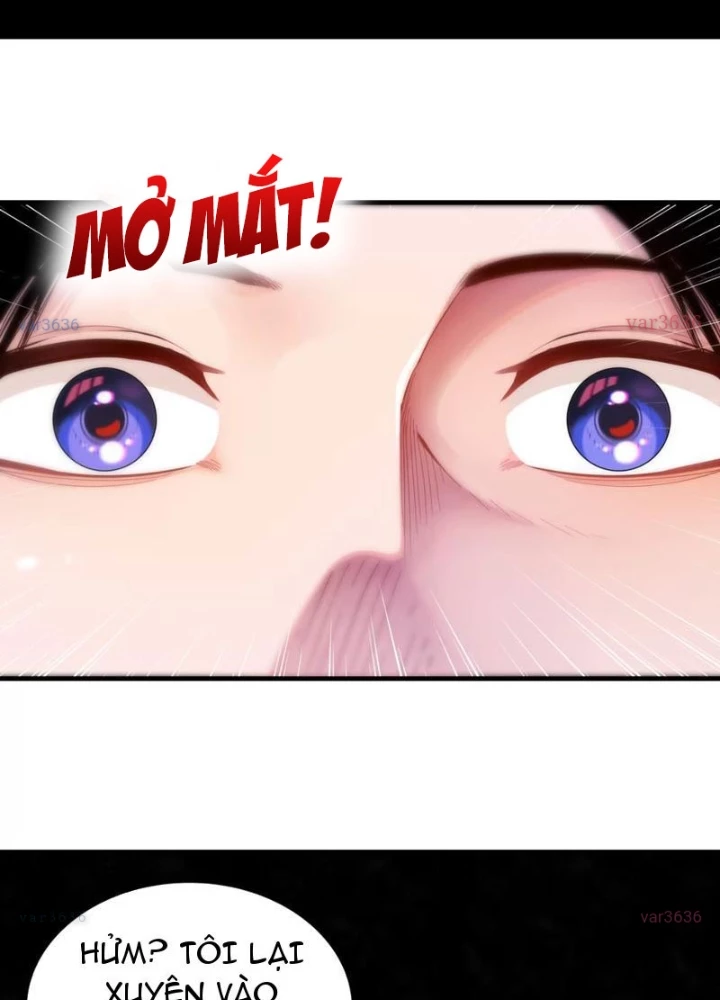 Xuyên Không Thành Ma Tôn Pháo Hôi? Nhưng Ta Là Streamer Công Lược Chapter 12 - 5