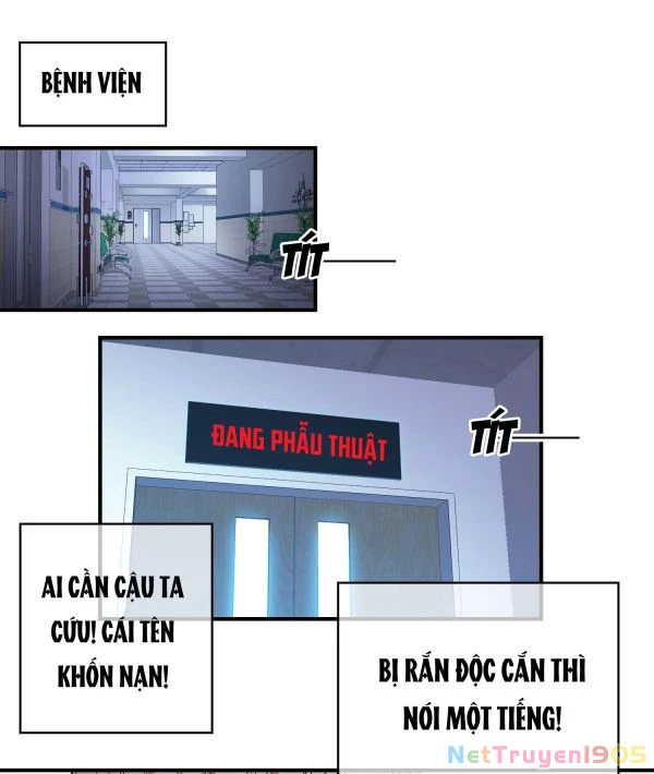 Sắp Bị Ăn Thịt Rồi! Chapter 43 - 24