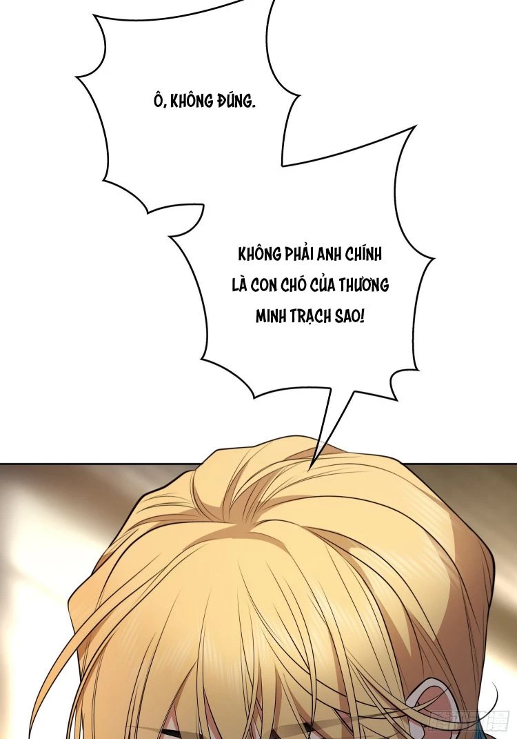 Sắp Bị Ăn Thịt Rồi! Chapter 47 - 19