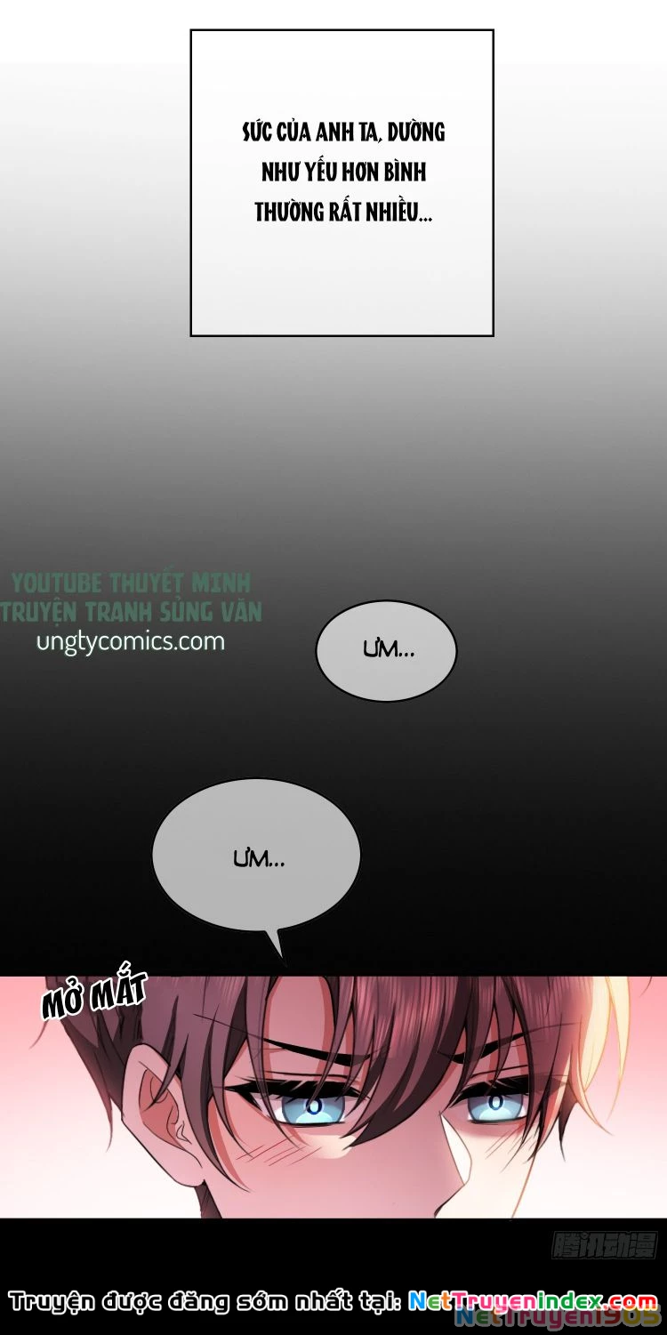 Sắp Bị Ăn Thịt Rồi! Chapter 47 - 28