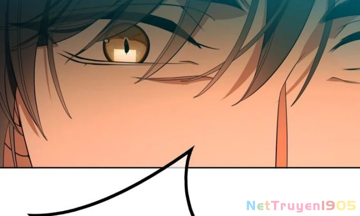 Sắp Bị Ăn Thịt Rồi! Chapter 70 - 20