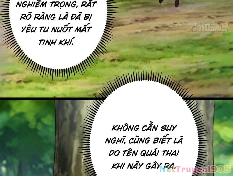 Chưởng Môn Khiêm Tốn Chút Chapter 554 - 25