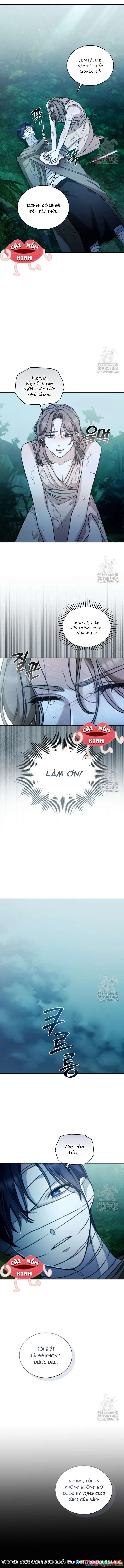 Khu Rừng Hoang Dã Chapter 44 - 11