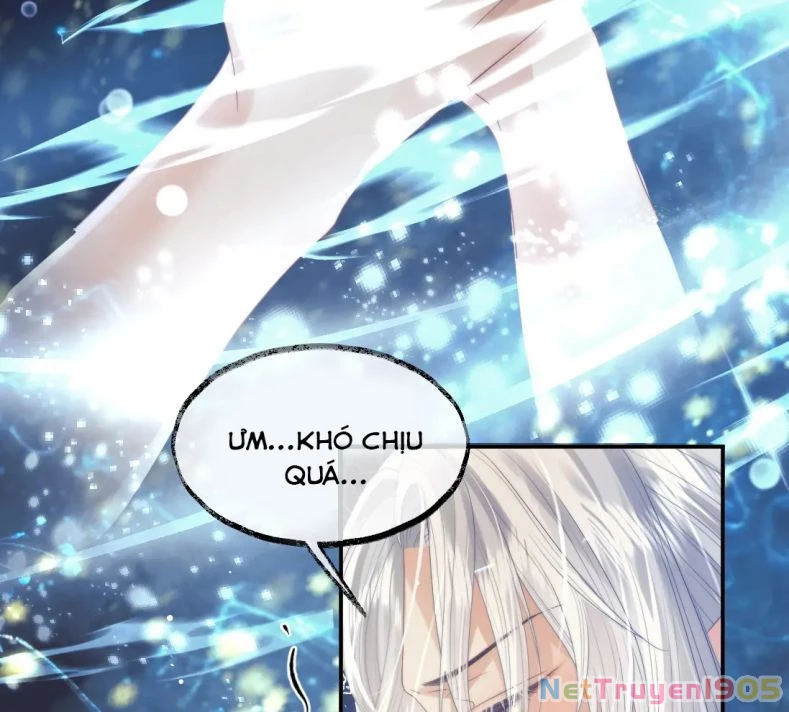 Sư Tôn Mỹ Nhân Bệnh Độc Chiếm Chapter 15 - 12