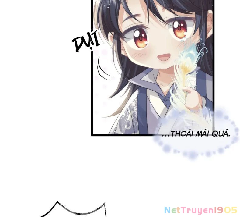 Sư Tôn Mỹ Nhân Bệnh Độc Chiếm Chapter 15 - 33