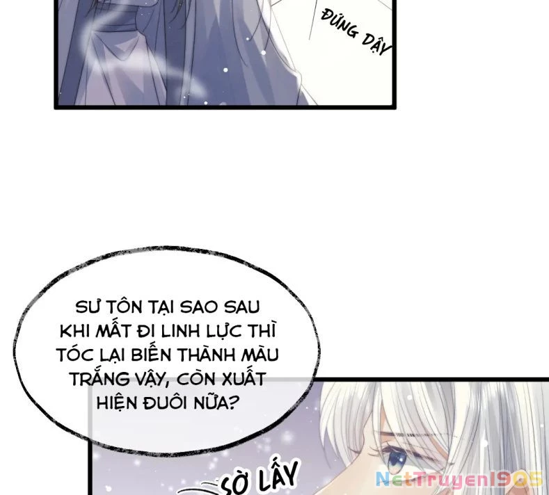 Sư Tôn Mỹ Nhân Bệnh Độc Chiếm Chapter 15 - 46