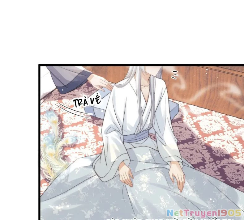 Sư Tôn Mỹ Nhân Bệnh Độc Chiếm Chapter 15 - 60