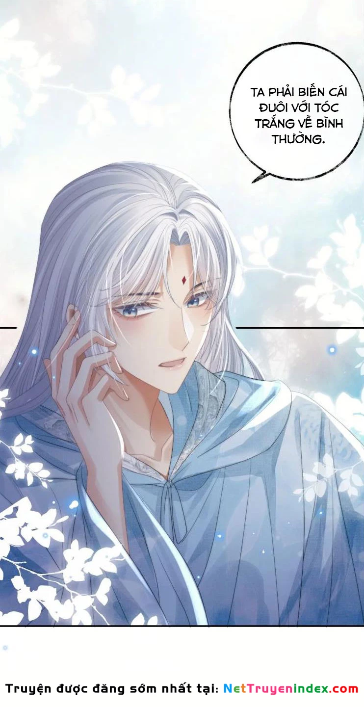 Sư Tôn Mỹ Nhân Bệnh Độc Chiếm Chapter 16 - 29