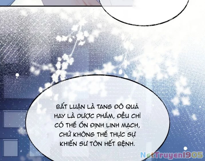 Sư Tôn Mỹ Nhân Bệnh Độc Chiếm Chapter 25 - 33