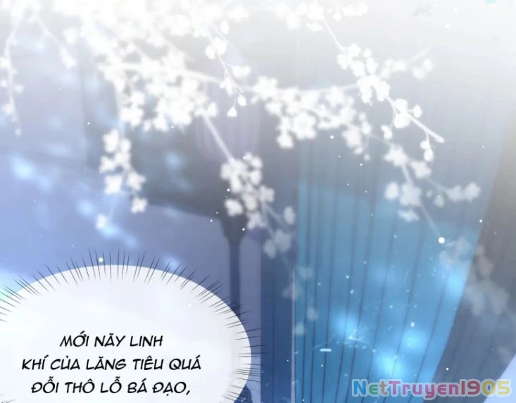 Sư Tôn Mỹ Nhân Bệnh Độc Chiếm Chapter 26 - 25