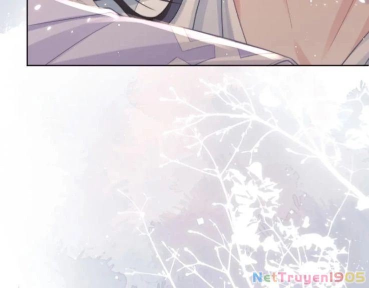 Sư Tôn Mỹ Nhân Bệnh Độc Chiếm Chapter 31 - 61