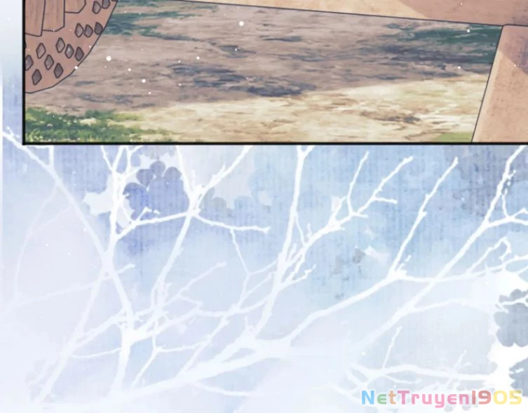 Sư Tôn Mỹ Nhân Bệnh Độc Chiếm Chapter 33 - 41