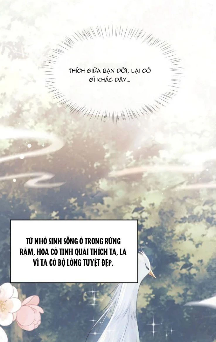 Sư Tôn Mỹ Nhân Bệnh Độc Chiếm Chapter 36 - 36