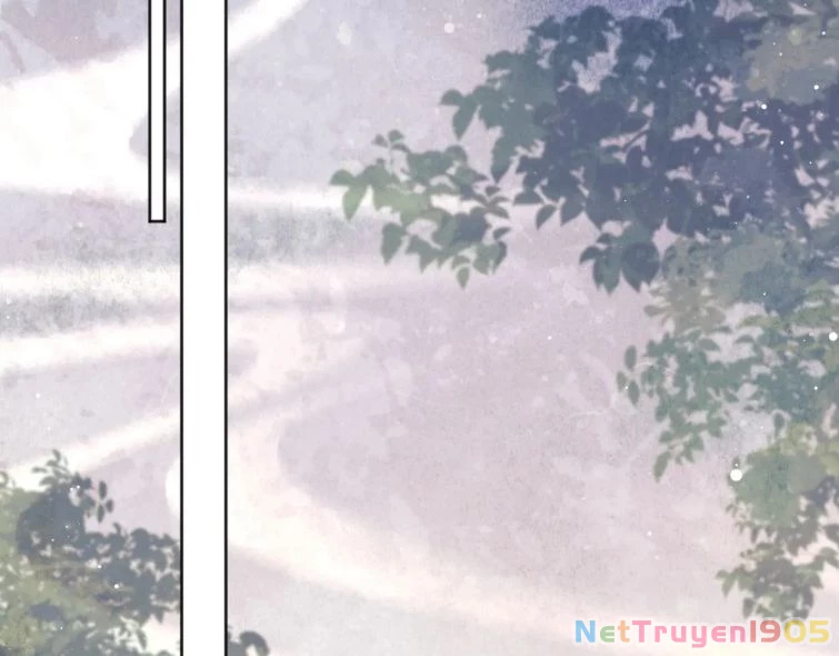 Sư Tôn Mỹ Nhân Bệnh Độc Chiếm Chapter 43 - 6