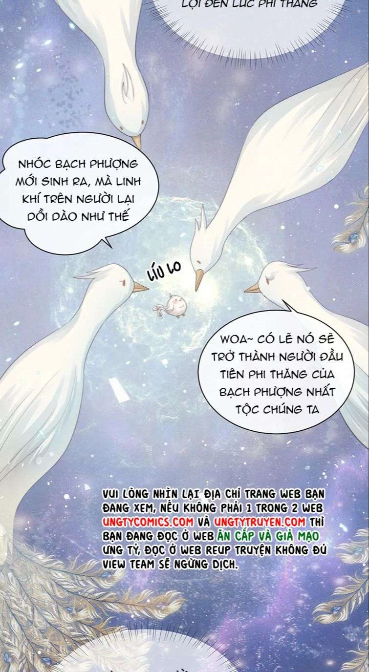 Sư Tôn Mỹ Nhân Bệnh Độc Chiếm Chapter 51 - 32