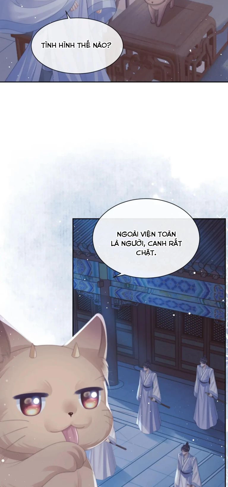 Sư Tôn Mỹ Nhân Bệnh Độc Chiếm Chapter 53 - 11