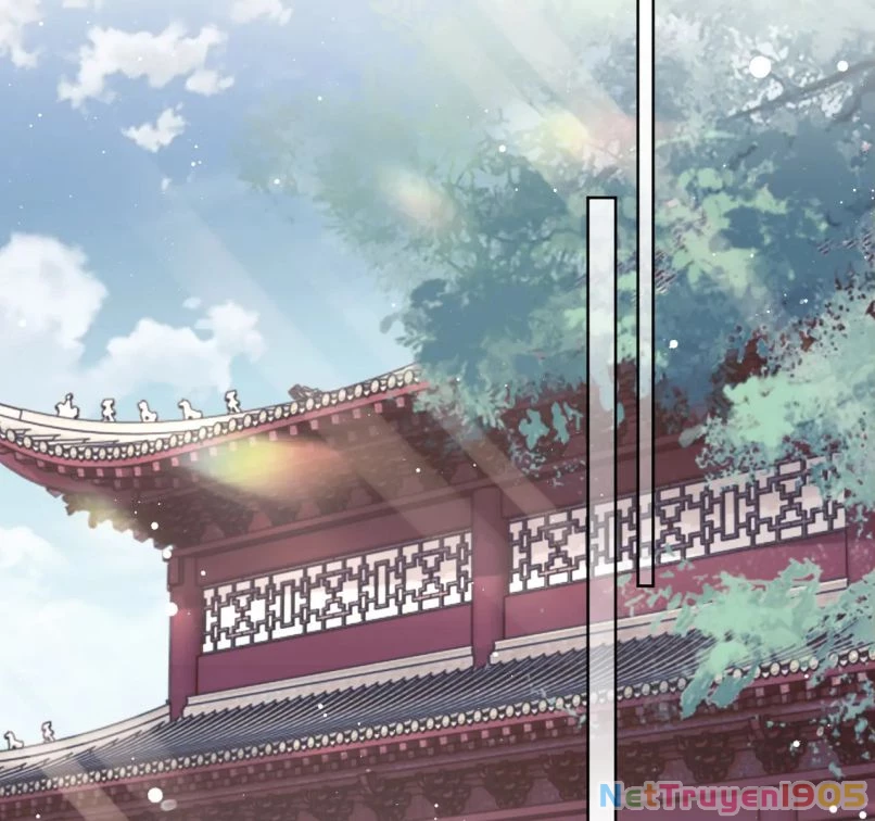 Sư Tôn Mỹ Nhân Bệnh Độc Chiếm Chapter 68 - 48