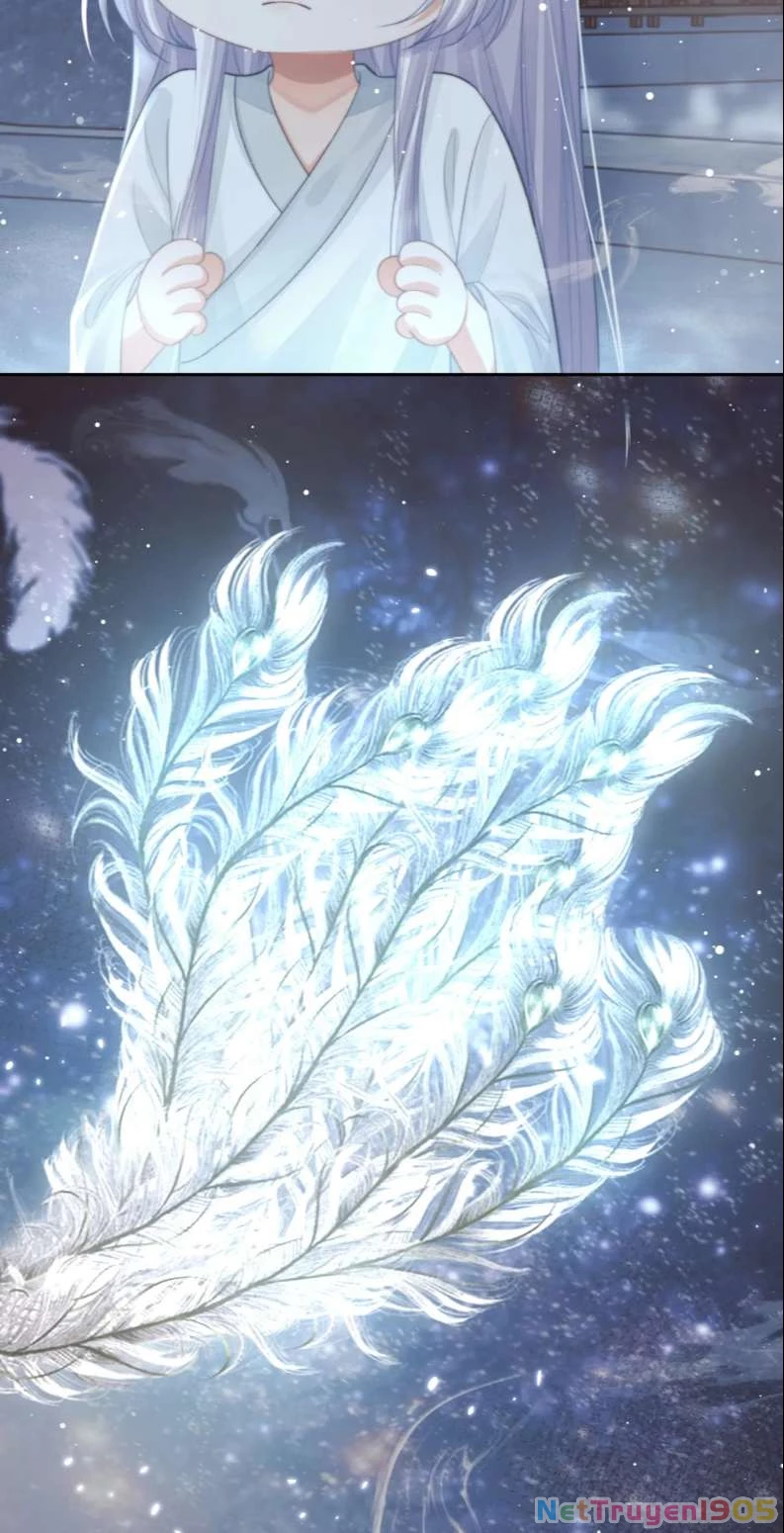 Sư Tôn Mỹ Nhân Bệnh Độc Chiếm Chapter 83 - 29