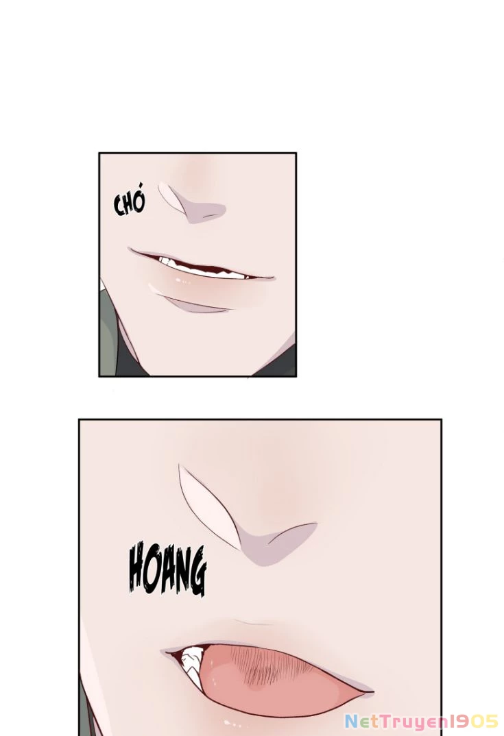 Bì Nang Chapter 5 - 24
