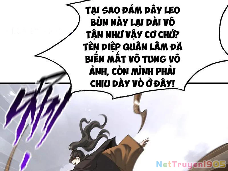 Gặp Mạnh Thì Mạnh, Ta Tu Vi Vô Thượng Hạn Chapter 76 - 49