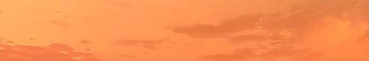 Bách Thú Chi Vương Chapter 24 - 196