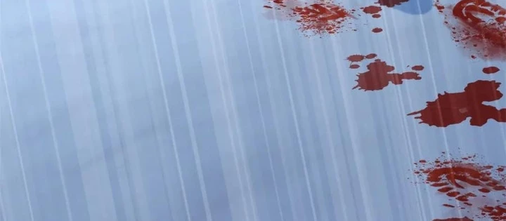 Cửa hàng sủng vật thần kỳ Chapter 11 - 84