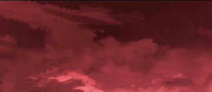 Ngục tối Black Haze Chapter 40 - 104
