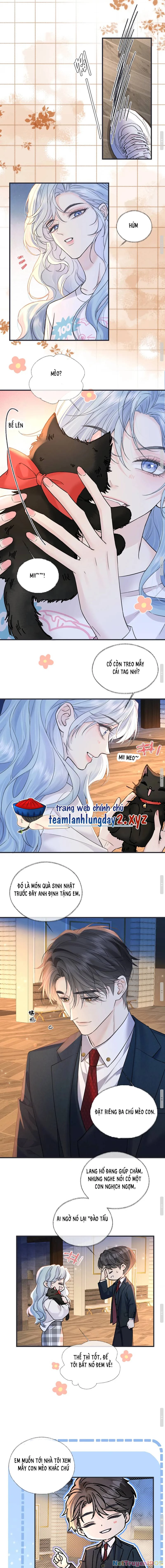 Ta Ở Hiện Đại Làm Đại Boss Chapter 148 - 5