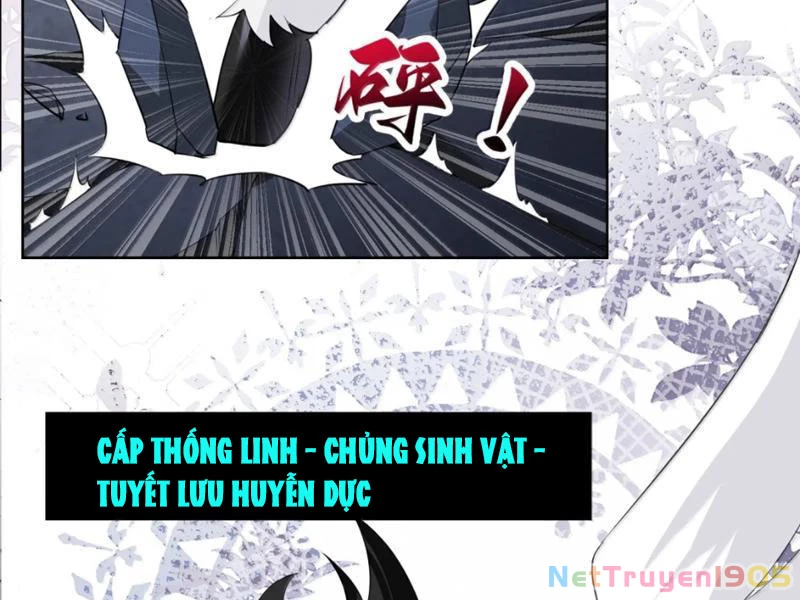 Xong rồi, ta bị sủng thú của mình bao vây rồi! Chapter 28 - 67