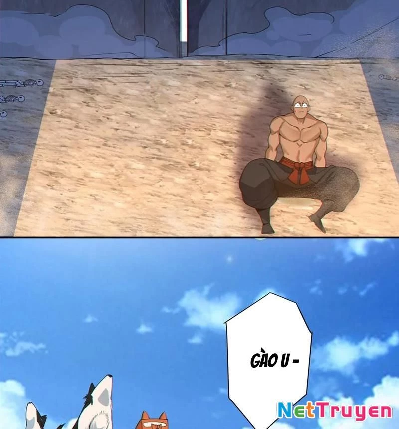 Đồ Đệ Của Ta Đều Là Đại Phản Phái Chapter 417 - 6