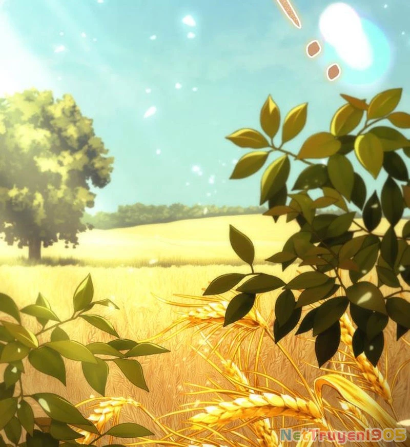 Thần Thịnh Vượng Chapter 5 - 4