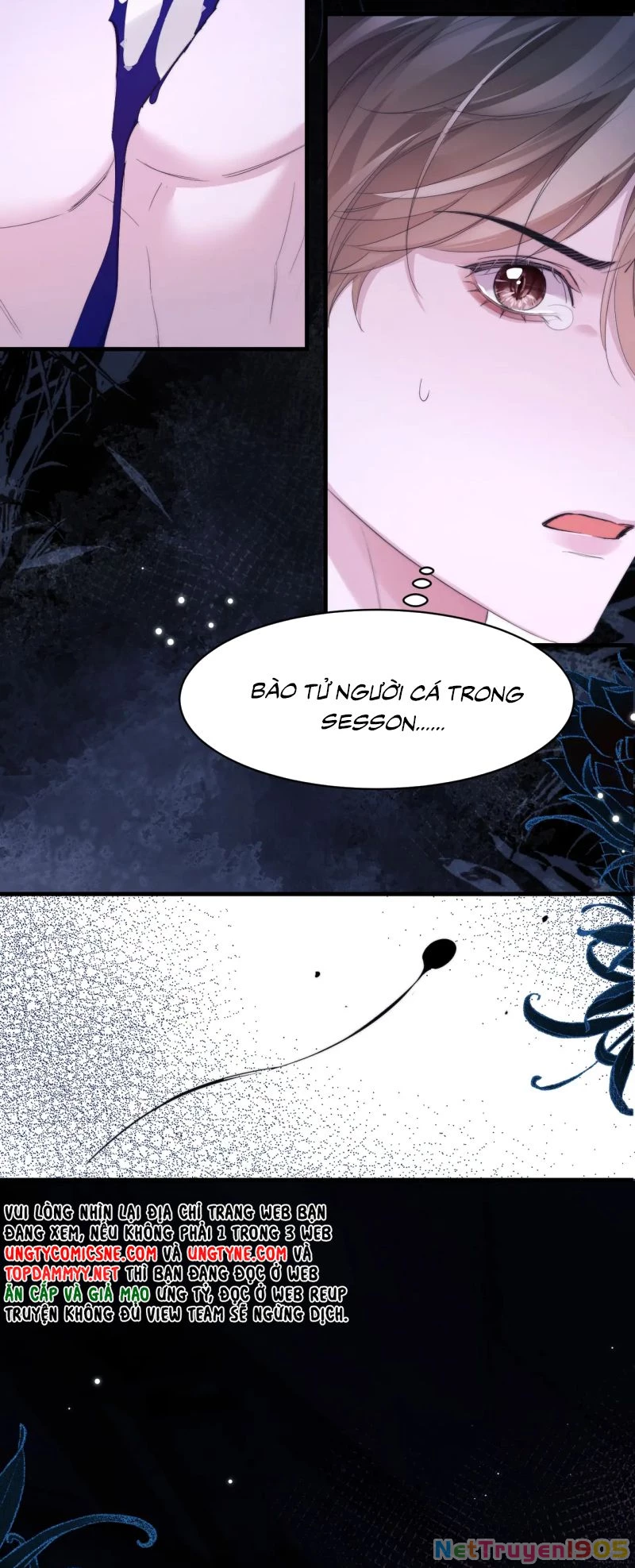 Desharow Nhân Ngư Chapter 112 - 13