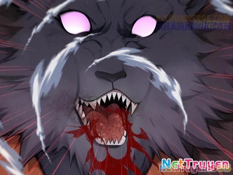Đệ Nhất Ngự Thú Sư Chapter 92 - 16