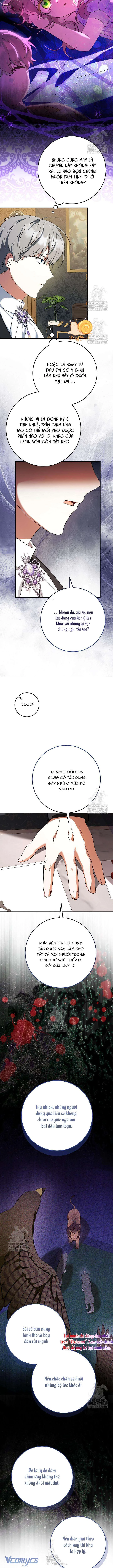 Nàng Chim Được Dinh Thự Sói Yêu Thương Chapter 54 - 8