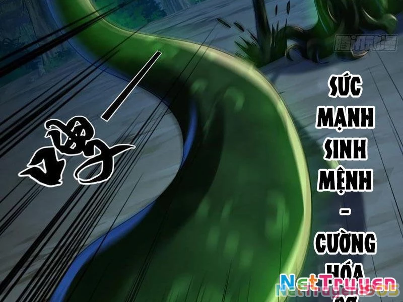 Tinh Thú Sư Mạnh Nhất Chapter 28 - 31
