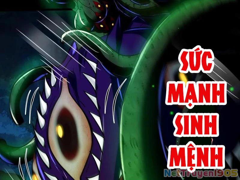 Tinh Thú Sư Mạnh Nhất Chapter 28 - 47