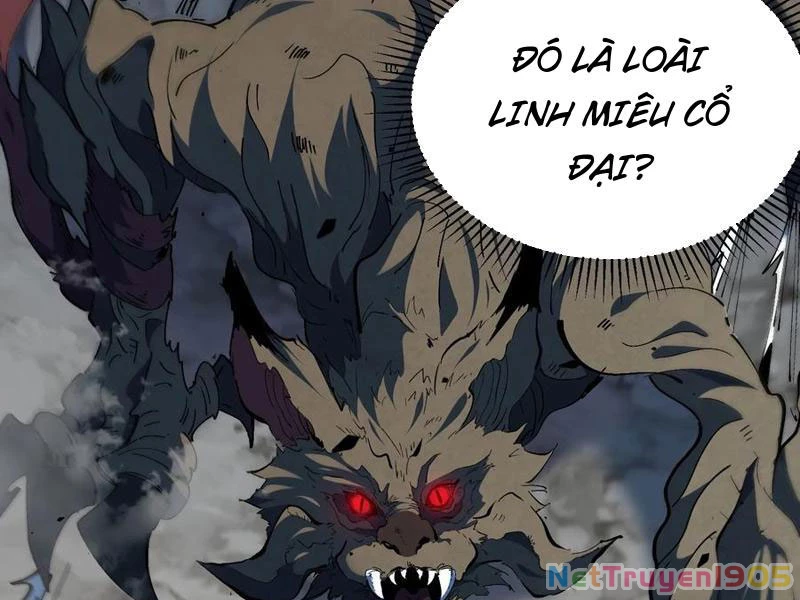Toàn dân chạy nạn, vật phẩm của ta có thể thăng cấp Chapter 21 - 60